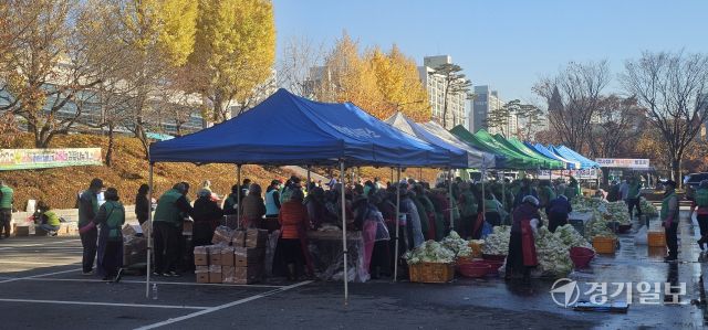 21일 오전 평택시 새마을운동협의회가 시청 별관 주차장에서 열린 2025 사랑의 김장 나누기 행사에서 회원 및 봉사자들이 김장 김치를 담그고 있다. 윤동현기자
