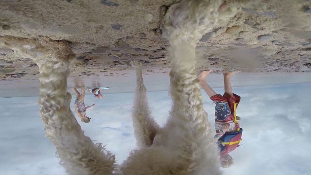 조안 조나스, ‘아름다운 개’(2014) © 조안 조나스. 뉴욕 글래드스톤 갤러리 제공