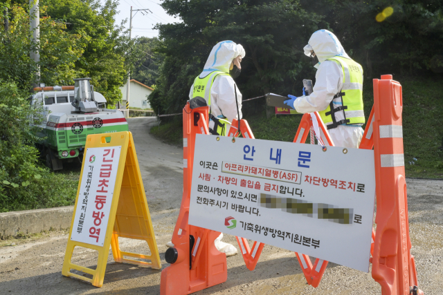 앞서 9월 아프리카돼지열병(ASF)이 확인된 연천군의 한 양돈농장에서 관계자들이 출입을 통제하고 있다. 경기일보DB