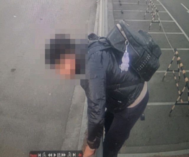 24일 인천항에서 외국인 A씨가 펜스를 넘어 밀항하려던 모습. 인천항보안공사 제공