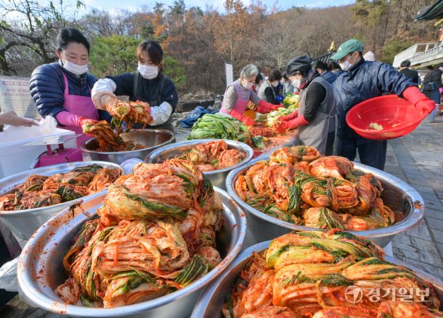 26일 오전 의왕시 대한불교조계종 청계사에서 신도들이 김장을 담구고 있다. 이날 담궈진 4천여 포기의 배추는 어려운 이웃들에게 나눠질 예정이다. 윤원규기자