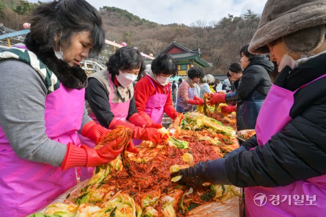 26일 오전 의왕시 대한불교조계종 청계사에서 신도들이 김장을 담구고 있다. 이날 담궈진 4천여 포기의 배추는 어려운 이웃들에게 나눠질 예정이다. 윤원규기자
