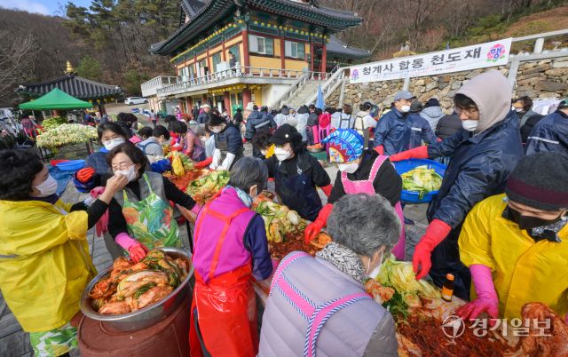 26일 오전 의왕시 대한불교조계종 청계사에서 신도들이 김장을 담구고 있다. 이날 담궈진 4천여 포기의 배추는 어려운 이웃들에게 나눠질 예정이다. 윤원규기자