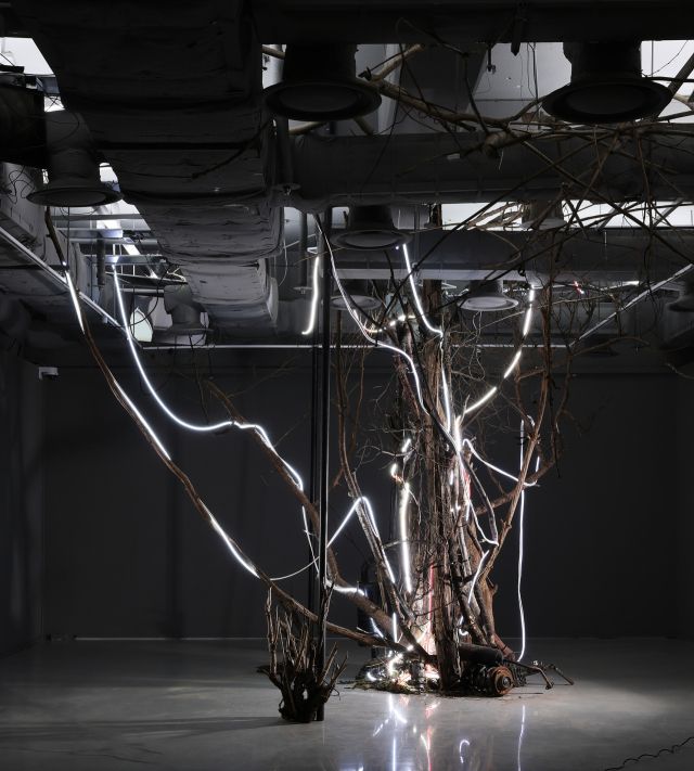 ‘당신의 위치는 마주하는 이 곳과 왼편 한걸음의 차이를 두고 있습니다’. 훼손된 자연물오브제, 훼손된 나무, 기계부속장치, 비계파이프, 부서진QLED TV, LED조명(KH Feelux), 단채널영상. 가변설치. 2025