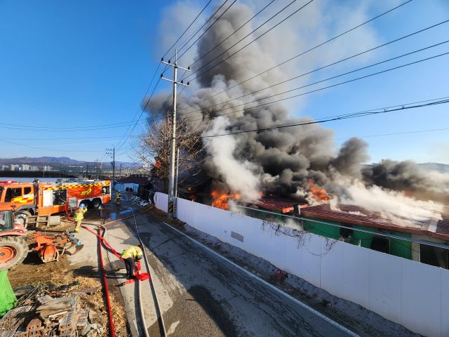 28일 오후 양주의 한 돼지 축사에서 불이 났다. 경기북부소방재난본부 제공
