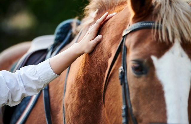 화면 캡처 2025-11-29 164702