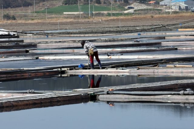 지난 4월 전남 신안군 증도의 한 염전에서 일하는 작업자. 연합뉴스