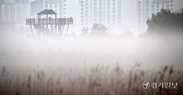 6일 인천 남동구 소래생태습지공원 일대가 안개로 덮여 있다. 조병서기자