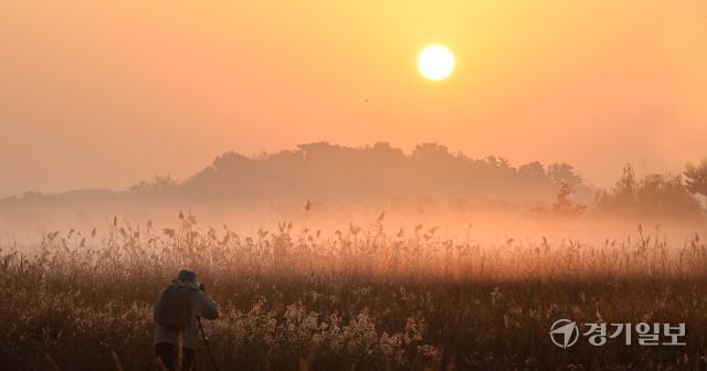 6일 인천 남동구 안개가 내려 앉은 소래생태습지공원 넘어 태양이 떠오르고 있다.조병서기자
