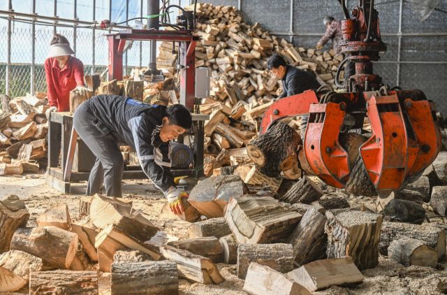 "바쁘다 바빠" 입동 D-1 분주한 장작 공장 [포토뉴스]