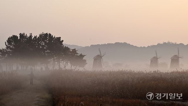 6일 인천 남동구 소래생태습지공원 일대가 안개로 덮여 있다. 조병서기자