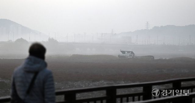 6일 인천 남동구 소래생태습지공원 일대가 안개로 덮여 있다. 조병서기자