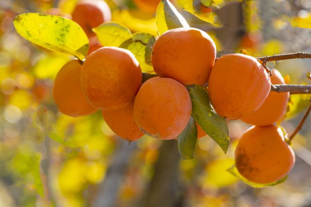 기사의 이해를 돕기 위한 자료 이미지로 기사와 직접적 연관은 없습니다. 클립아트코리아