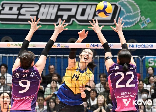 여자 프로배구 수원 현대건설의 양효진이 개인 통산 8천득점의 기록을 세웠다. KOVO 제공