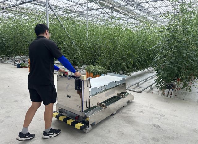 스마트팜 운반로봇 시운전 모습. 강화군 제공
