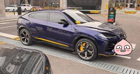 온라인 커뮤니티 보배드림 갈무리