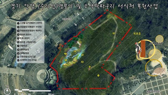 안양 병목안시민공원 맹꽁이 오색딱따구리 서식처 복원사업 기본계획도. 안양시 제공