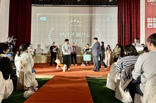경기도가 20일 반려동물복합문화공간인 반려마루 여주에서 반려동물 입양가족들과 함께하는 연말 모임인 ‘홈커밍데이(부제: 너는, 내 운명)’를 열었다. 사진은 반려견 패션쇼에 참가한 반겨견과 보호자의 모습. 경기도 제공