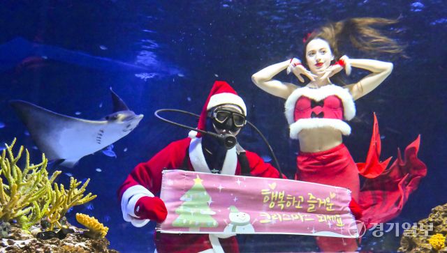 크리스마스를 사흘 앞둔 22일 오전 수원특례시 영통구 아쿠아플라넷 광교에서 산타 의상을 입은 아쿠아리스트들이 크리스마스 인사를 하고 있다. 홍기웅기자