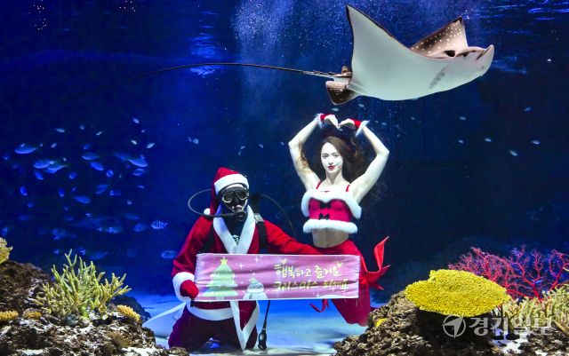 크리스마스를 사흘 앞둔 22일 오전 수원특례시 영통구 아쿠아플라넷 광교에서 산타 의상을 입은 아쿠아리스트들이 크리스마스 인사를 하고 있다. 홍기웅기자