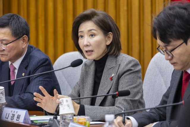 지난 15일 국민의힘 나경원 지방선거총괄기획단 위원장이 국회에서 열린 지방선거총괄기획단-전국청년지방의원협의회 연석회의에서 오는 2026년 지방선거에서 청년 우대 정책 구상이 담긴 인사말을 하는 모습. 연합뉴스