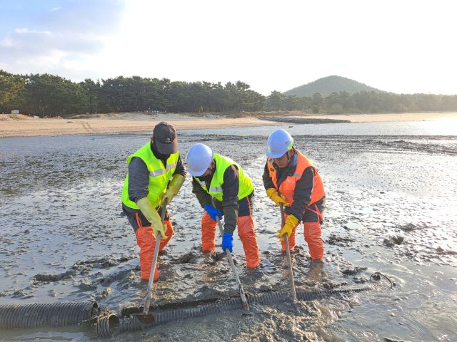 ‘2025년도 양식어장 정화사업’에 나선 작업자들이 어장에서 폐기물을 수거하고 있다. 중구청 제공