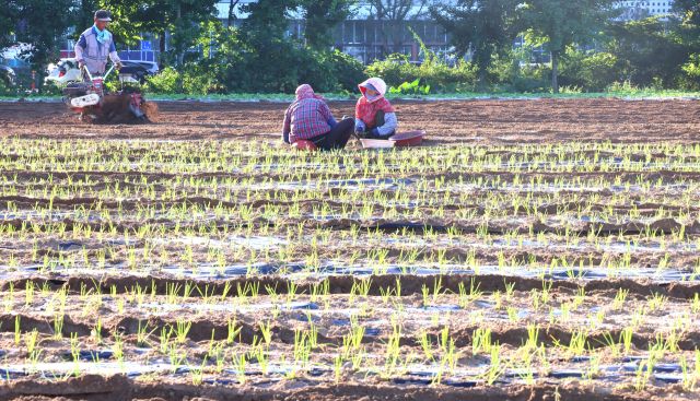 기사의 이해를 돕기 위한 사진. 연합뉴스