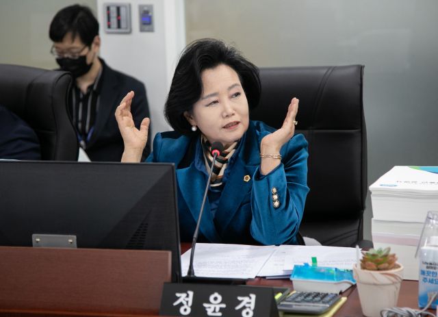 정윤경 경기도의회 부의장. 경기도의회 제공