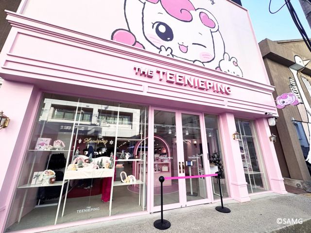 SAMG엔터가 IP 전반을 아우르는 통합 브랜드 ‘더티니핑’을 론칭하고, 브랜드 스토어 ‘더티니핑’을 오픈했다. 사진은 서울 성수동에 위치한 ‘더티니핑’ 매장 전경 및 내부. SAMG엔터 제공