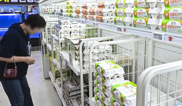 기사와 관련 없는 자료사진. 경기일보DB