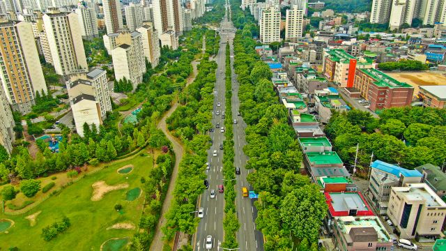평택시 1번 국도 도시숲 전경. 평택시 제공