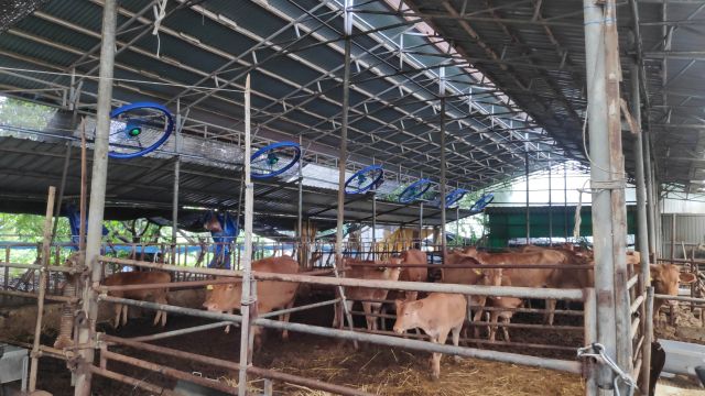 인천 강화군이 2025년도 축산분야 보조사업 신청을 받는다. 강화군 제공