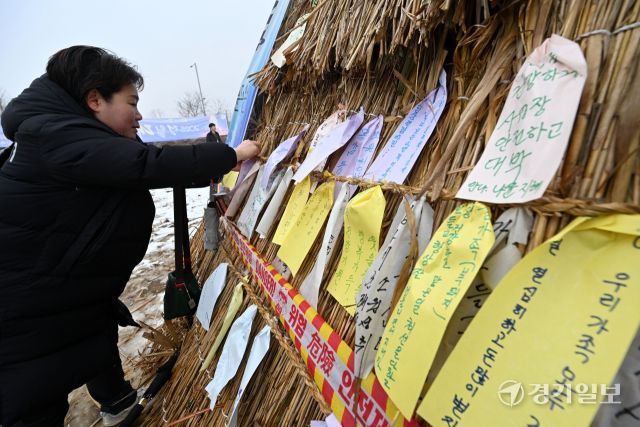 정월대보름인 12일 오후 시흥시청 인근 공터에서 열린 '2025 정월대보름 한마당' 행사에서 시민들이 달집에 한 해 소원을 꽂고 있다. 김시범기자