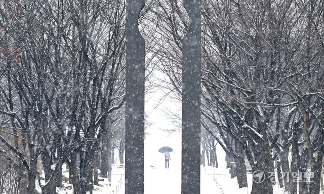 12일 인천 남동구 중앙공원에서 시민들이 눈을 맞으며 발걸음을 옮기고 있다.조병석 기자