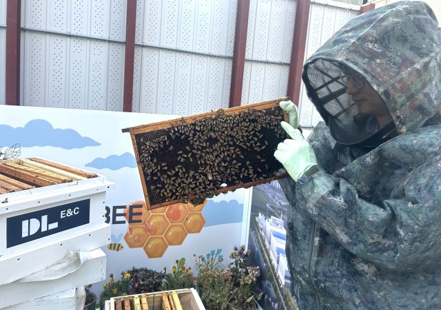 DL이앤씨 직원이 수도권 현장에 설치한 도심양봉장에서 꿀벌을 관리하는 모습. DL이앤씨
