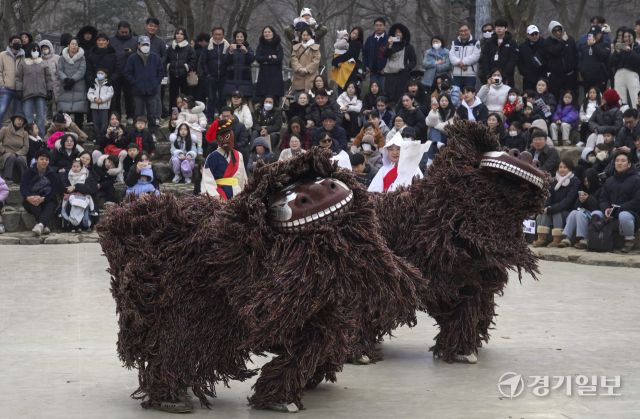 한국민속촌에서 열린 '국가무형유산 북청사자놀음' [포토뉴스]