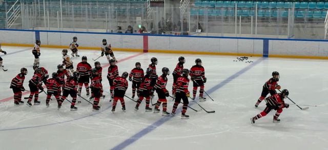 17일 오후 강릉하키센터에서 열린 제106회 전국동계체육대회 하키 초등부 예선에서 레드 이글스 선수들이 U12 전북선발과 경기를 앞두고 몸을 풀고 있다.수원 레드이글스 제공