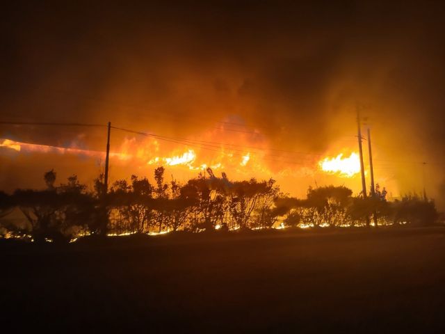평택 서탄면 양계장 화재현장. 송탄소방서 제공