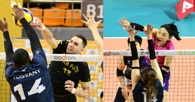 ‘도드람 2024-2025 V리그’ 5라운드 남녀부 최우수선수로 선정된 의정부 KB손해보험의 안드레스 비예나(왼쪽)와 여자부 인천 흥국생명의 김연경. KOVO 제공