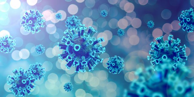 기사의 이해를 돕기 위한 이미지로 기사와 직접적 연관은 없습니다. 이미지투데이