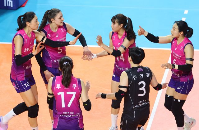 6년 만의 통합 챔피언 등극을 노리는 인천 흥국생명의 정상 가는길이 한층 수월할 전망이다. 사진은 6라운드 첫 경기인 지난 25일 화성 IBK전서 득점에 성공한 후 기뻐하는 흥국생명 선수들.연합뉴스