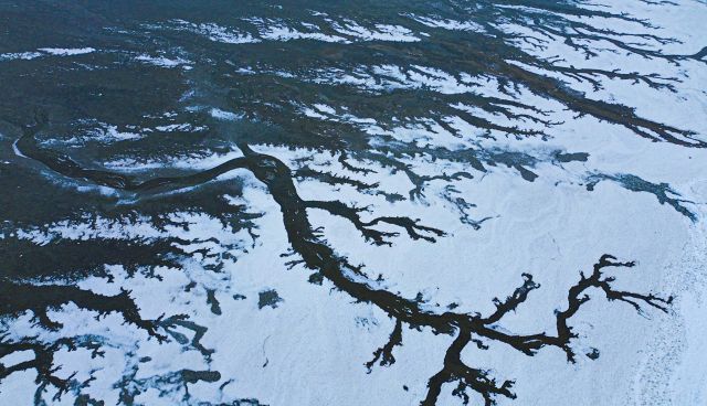 한파주의보가 발효된 4일 화성시 우정읍 매향리 갯벌이 꽁꽁 얼어붙어 한 폭의 그림처럼 기하학적 무늬를 형성하고 있다.조주현기자