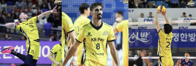 프로배구 의정부 KB손해보험의 핵심 전력인 (왼쪽부터) 비예나, 야쿱, 황택의. KB손해보험 제공