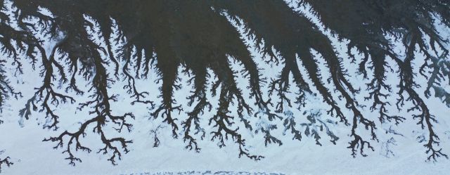 한파주의보가 발효된 4일 화성시 우정읍 매향리 갯벌이 꽁꽁 얼어붙어 한 폭의 그림처럼 기하학적 무늬를 형성하고 있다.조주현기자