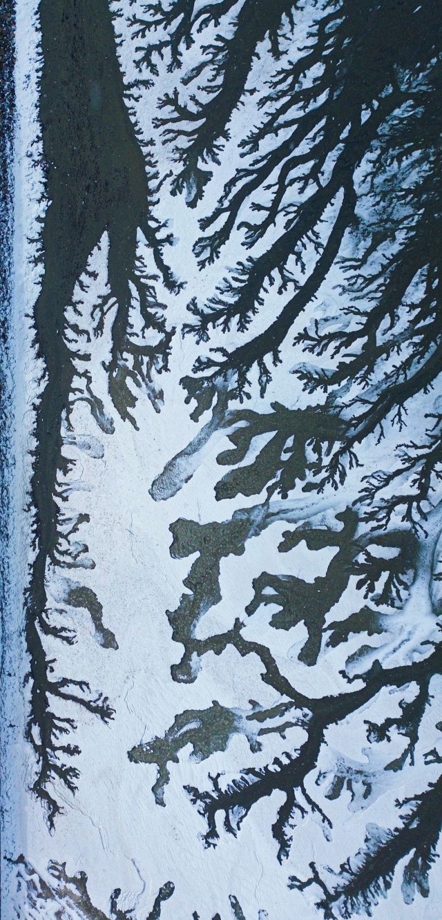 한파주의보가 발효된 4일 화성시 우정읍 매향리 갯벌이 꽁꽁 얼어붙어 한 폭의 그림처럼 기하학적 무늬를 형성하고 있다.조주현기자