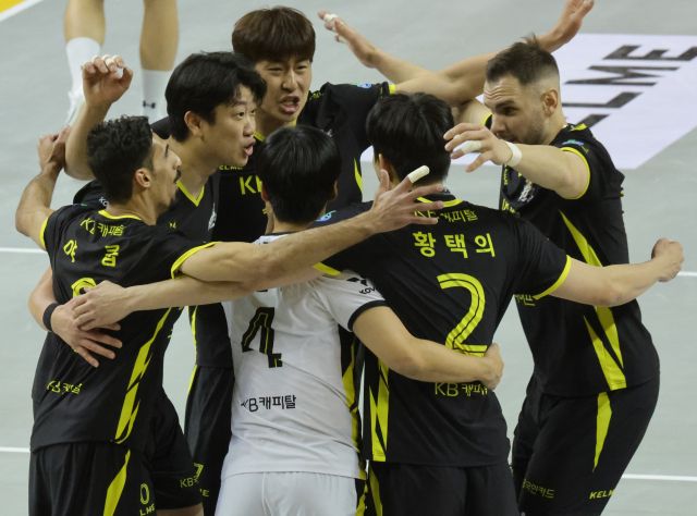 5일 의정부 경민대 기념체육관에서 열린 도드람 2024-2025 V리그 남자부 천안 현대캐피탈과의 홈 경기서 승리한 의정부 KB손해보험 선수들이 승리후 기뻐하고 있다.연합뉴스