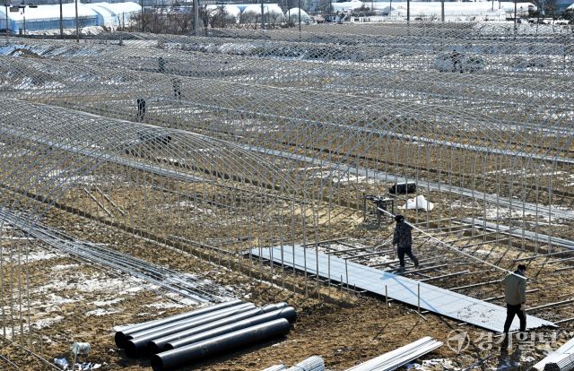 경기지역에 한파가 계속된 5일 오후 화성특례시 비봉면 한 들녘에서 인부들이 비닐하우스를 설치하며 봄농사 준비를 하고 있다. 김시범기자