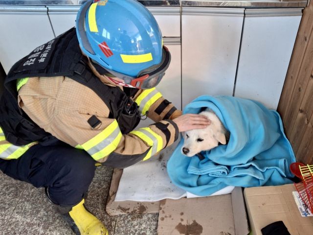 평택 청북읍 병아리 부화장 화재 당시 박종열 경기소방 긴급대응팀장이 강아지를 구조해 살피고있다. 송탄소방서 제공