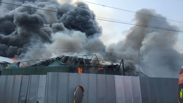 돈사 화재 현장. 경기도소방재난본부 제공