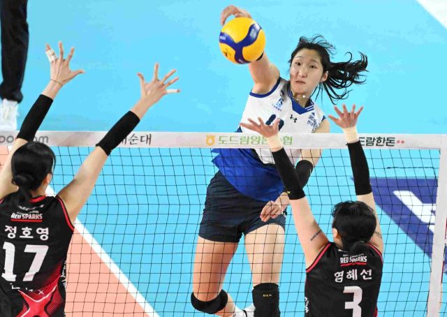 여자 프로배구 정규리그 2위인 수원 현대건설이 오는 25일부터 3위 대전 정관장과의 플레이오프를 통해 2년 연속 챔피언결정전 진출에 도전한다.KOVO 제공